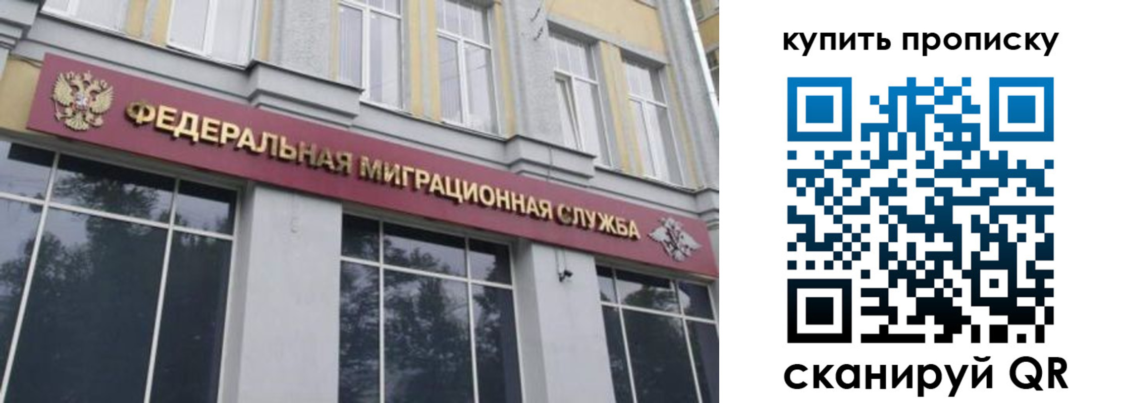 прописка поиск в Дубне